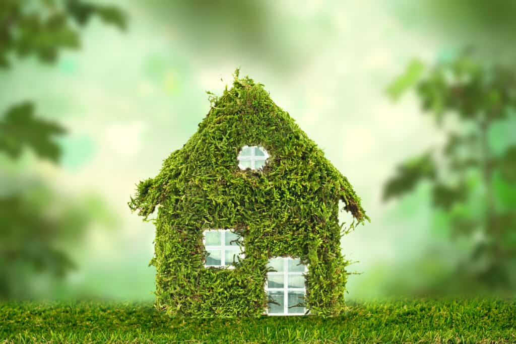 Entenda como morar em uma casa sustentável